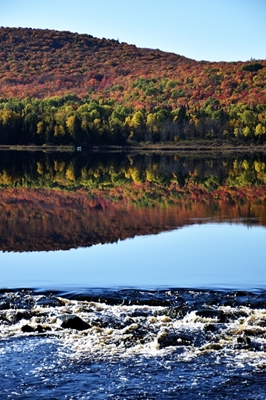 Um lago e uma floresta de outono