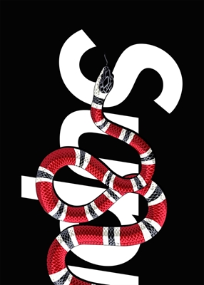 Serpent SUP