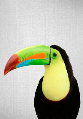 Pájaro Tucán