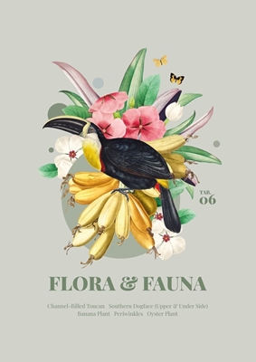 Flora og fauna med tukan