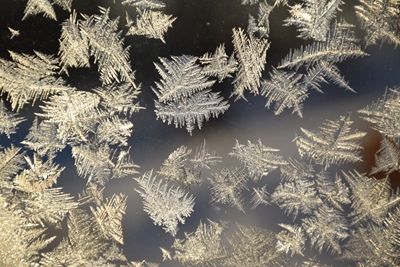 Frost in a window on a cold wi
