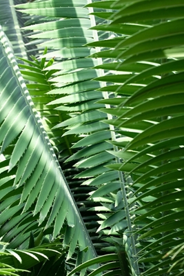 Grön växt weige abstrakt