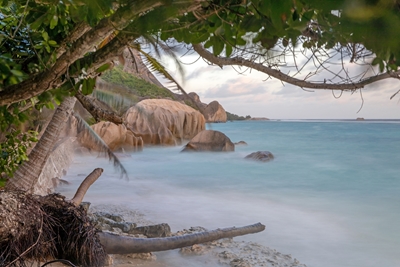 Seychelles Dream Beach