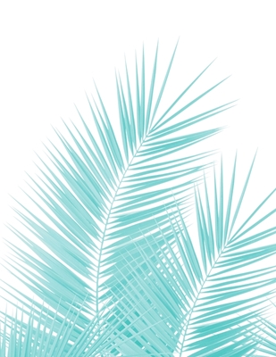 Hojas de palma de color turquesa suave 
