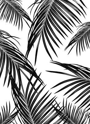 Svart palmblad dröm 1