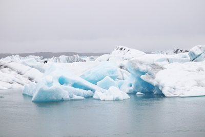 Jökulsárlón ledenjačko järvi