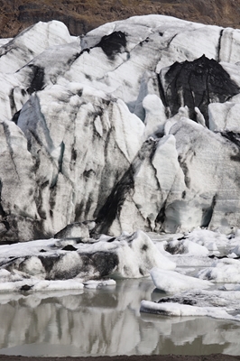 Glaciar Svínafellsjökull