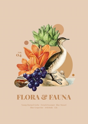 Flora &; fauna med eared grebe
