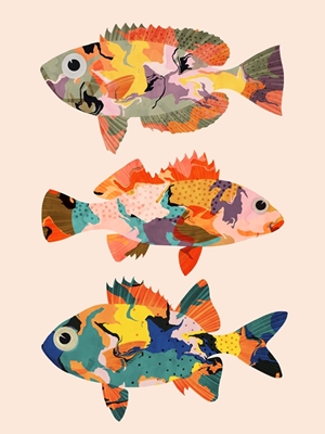 Trzy tropikalne ryby