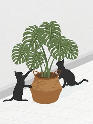 Cute cat and monstera plant
