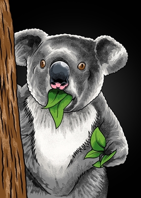 Koala sorprendido