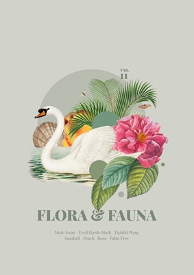 Flora y Fauna con Cisne
