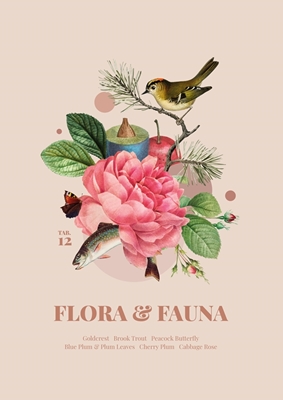 Flora & Fauna with Goldcrest