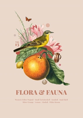Flora & Fauna com Alvéolo Cinzento