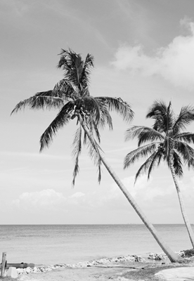 Palmová plážová oáza 2