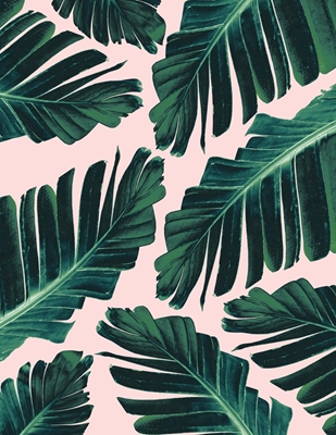 Folhas de Bananeira Tropical Blush 