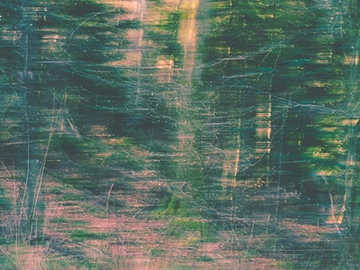 Trær abstrakt