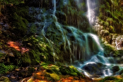 Cachoeira na Floresta Negra