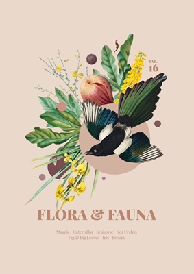 Flora & Fauna with Magpie