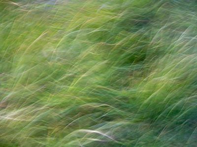 Vert abstrait