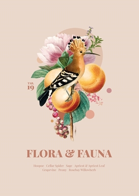 Flora & Fauna with Hoopoe