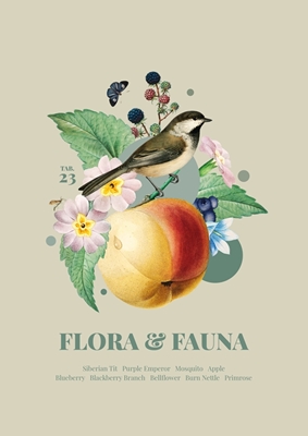 Flora og fauna m. Lapplandmeise