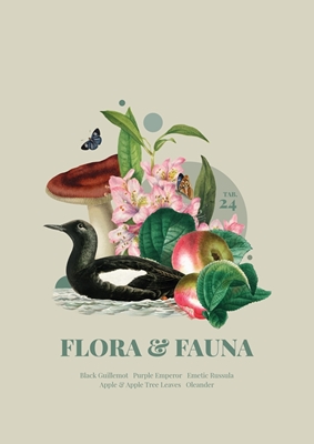 Flora & Fauna w. Guillemot