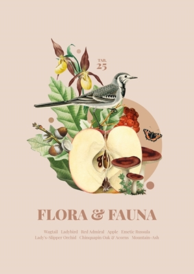 Flora & Fauna with Wagtail