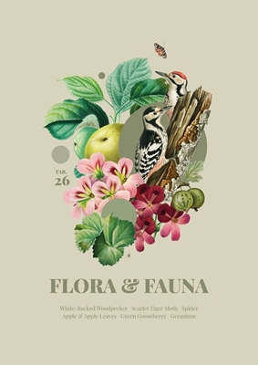 Flora & Fauna com pica-paus
