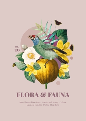 Flora &; Fauna med Bee-eater