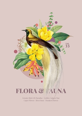 Flora & Fauna met Paradijsvogel
