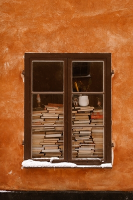 Zimowe okno wypełnione książkami