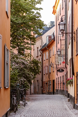 Altstadt, Stockholm