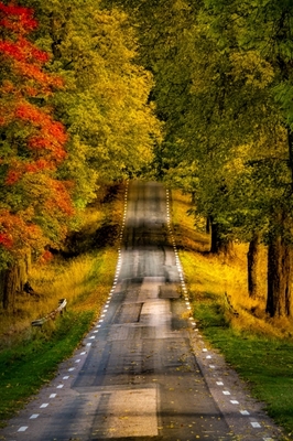 Podzimní silnice