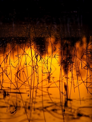 Der See steht in Flammen