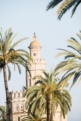 Torre del Oro en Sevilla 1