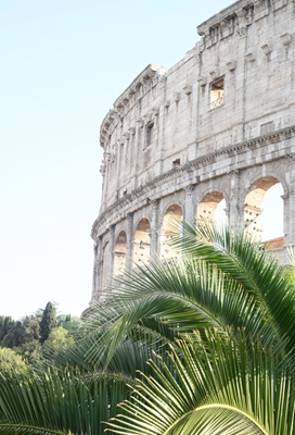 Il Colosseo a Roma 