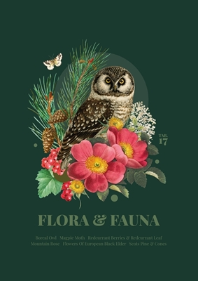 Flora i fauna z sową szorstkonogią