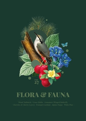 Flora & Fauna com Nuthatch