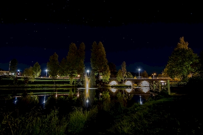 Night in the park