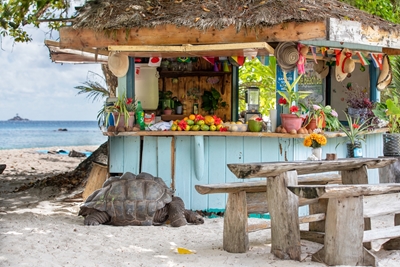 Osamělý host v plážovém baru