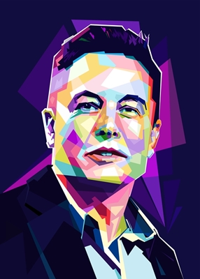 Elon Musk estilo wpap