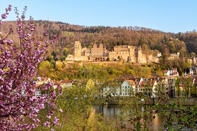 Castle of Heidelberg in spring
