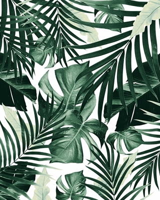 Vzor listů tropické džungle
