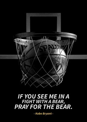 basquete 
