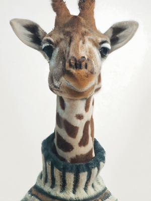 A girafa Dapper
