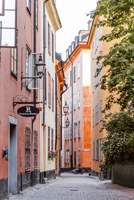 Pastellfarget gamleby, Stockholm