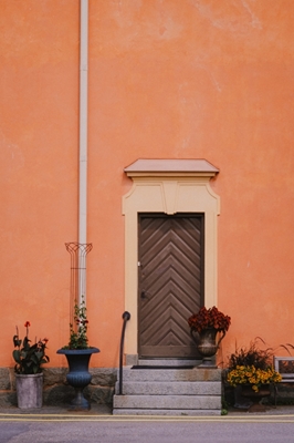 Pastel and a wooden door