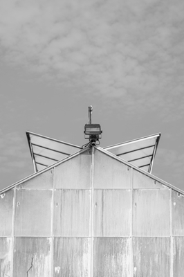 Symmetry of a greenhouse bnw
