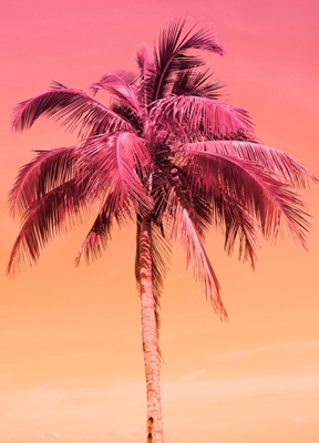 Palm Tree Beach Dream 1